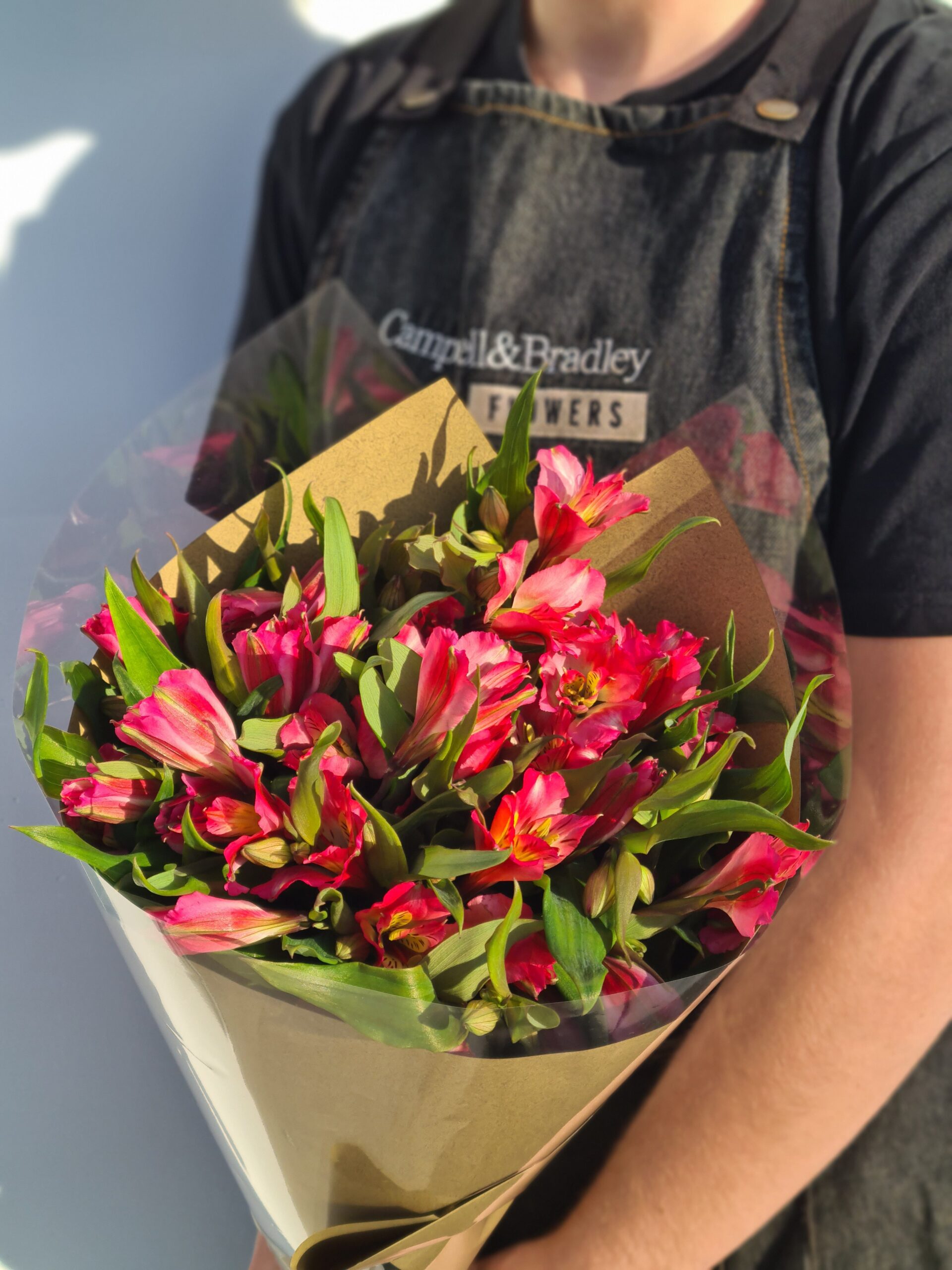 Alstromeria Full Bunch Campbell & Bradley Flowers